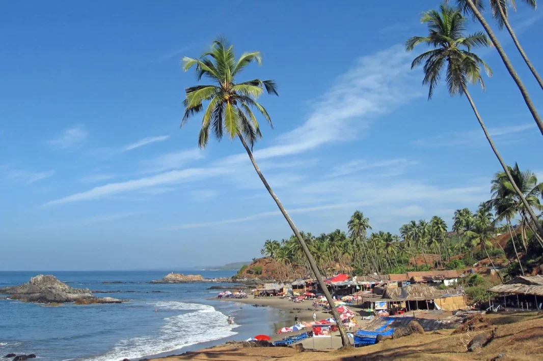 All India Tour Packages