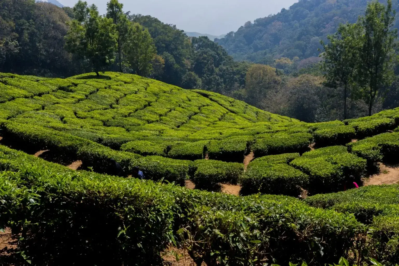 Kerala Beach Holiday Packages