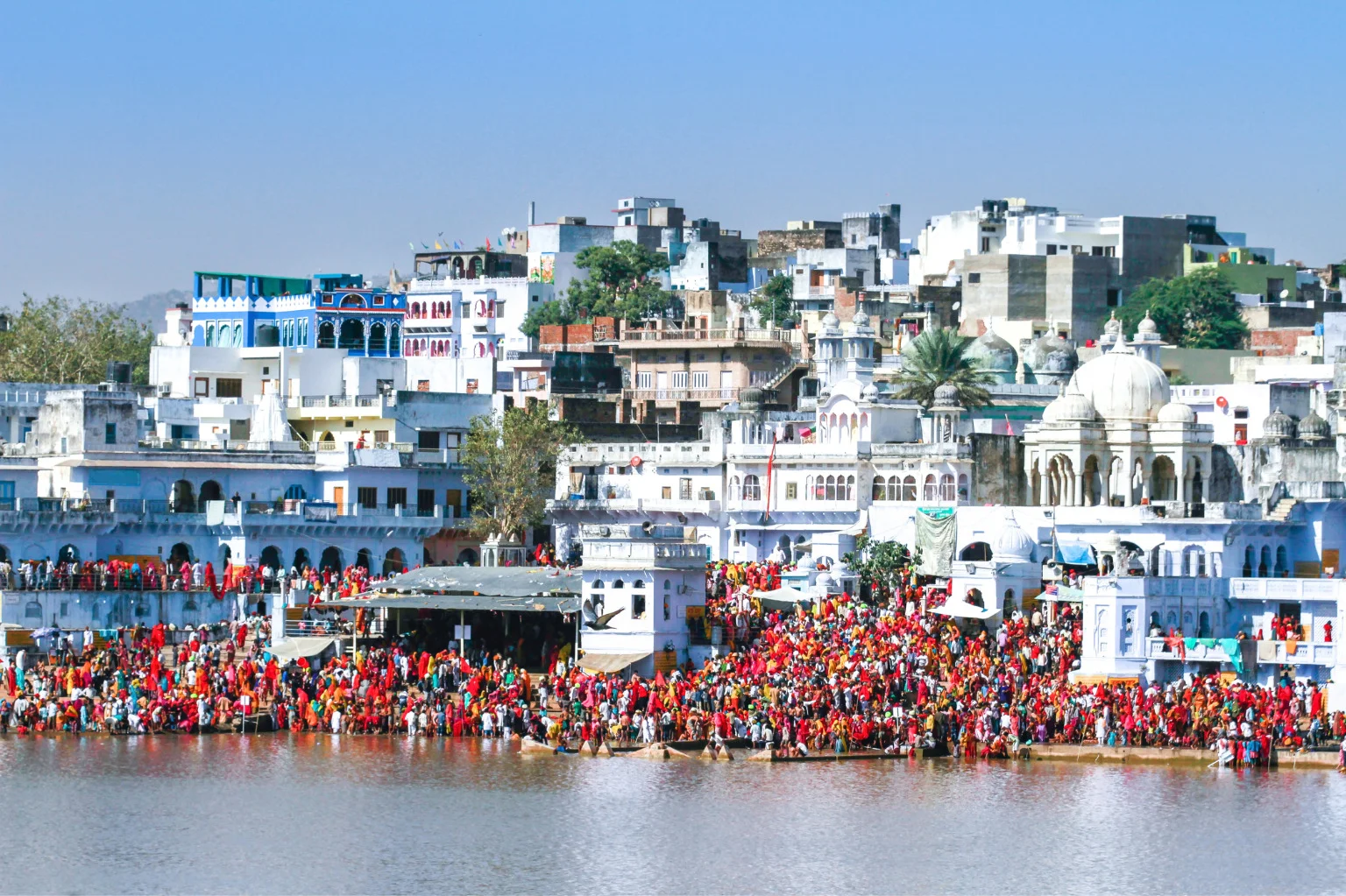 Events-Organiser-in-Udaipur