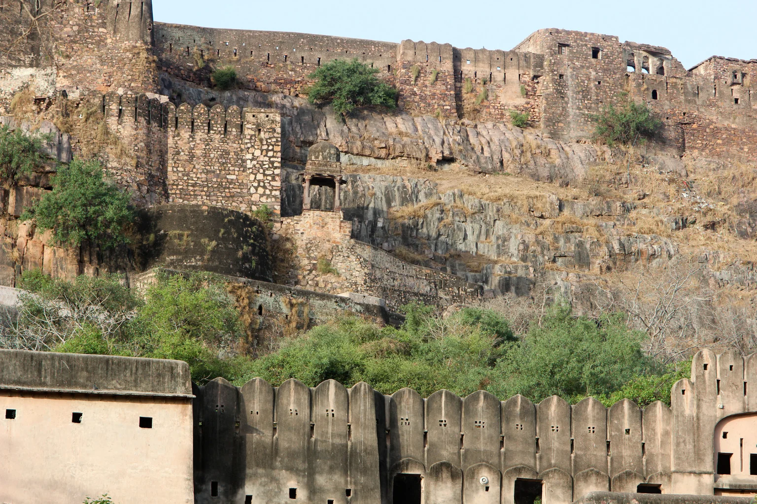 Holiday Packages Booking